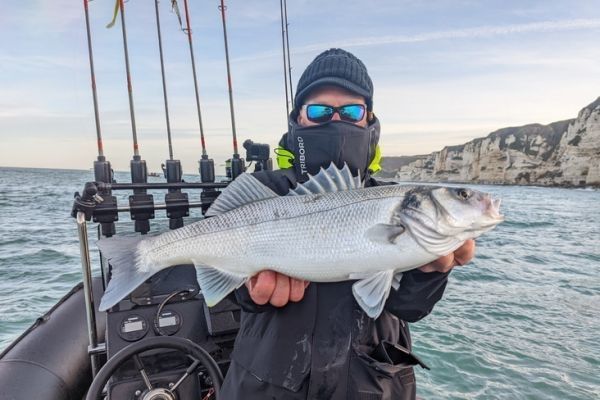 Pcher le bar en automne
