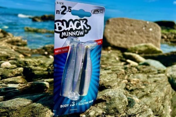 Dcouvrons la nouveaut de Fiiish, le Black Minnow 2.5 ! 