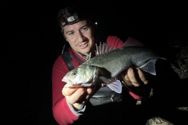 Night bass fishing, tips and tricks for successful sessions