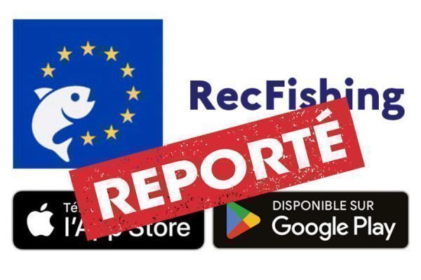 Lancement de l'application RecFishing reporté