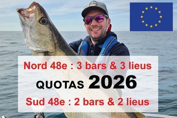 Quotas 2026 de bars et lieus jaunes
