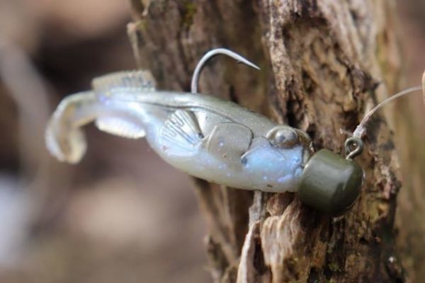 Le TRD Gobiz imite un poisson qui fouille le fond.