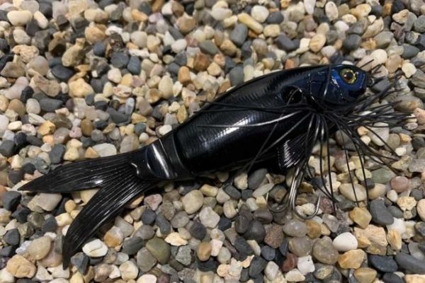 Jackall innove avec le Slick bait !