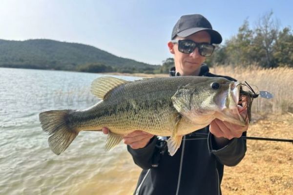 De jolis black-bass sur le lac du Trapan dans le Var