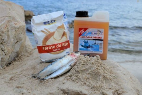 Quelle amorce pour quelle esp�ce ?