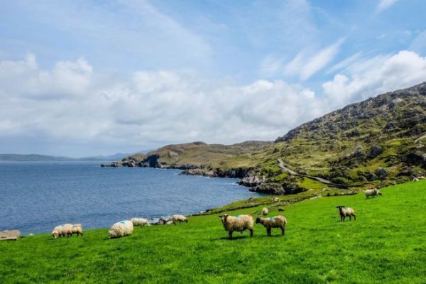 L'Irlande est une destination de rve pour les amateurs de pche