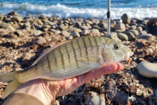 Pcher  soutenir depuis le bord