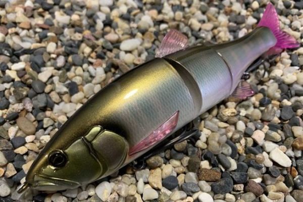 La taille 180 �tait tr�s attendue !