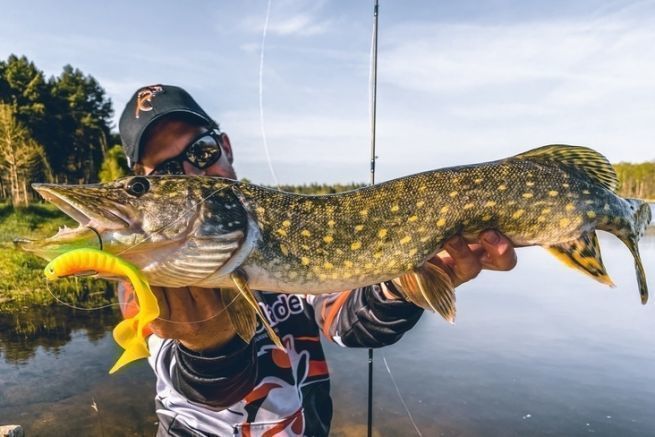Un joli brochet d'ouverture pris  vue au No Frog 