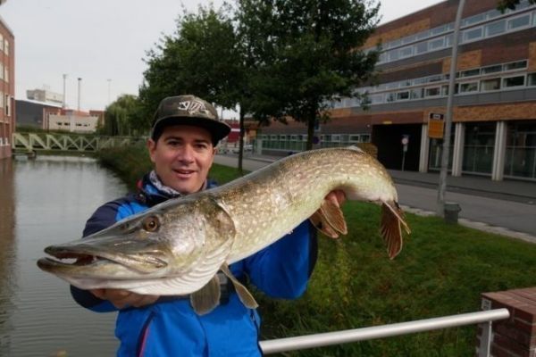 Pcher le brochet dans les polders