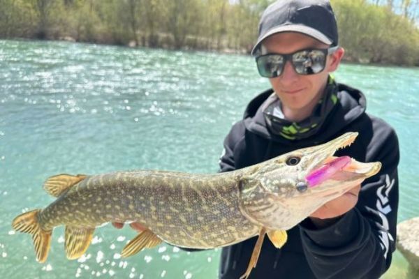 L'intrt de la fentre de capture sur le brochet ?