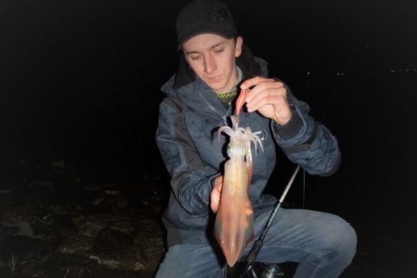Pêcher le calamar de nuit