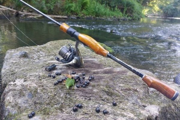 Mûres, Cassis, Sureaux, Prunelles, … du moment que c’est de saison !