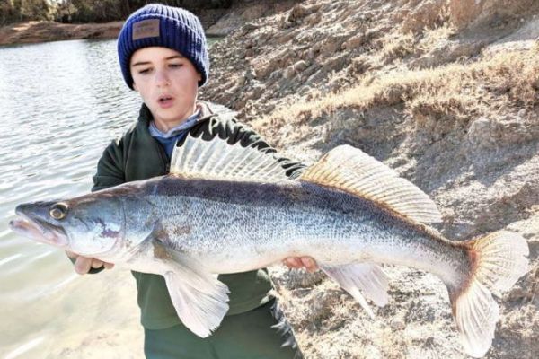 P�cher le sandre du bord