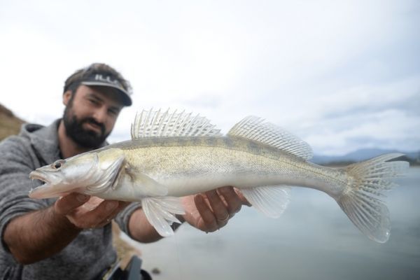 Le mat�riel pour p�cher le sandre du bord
