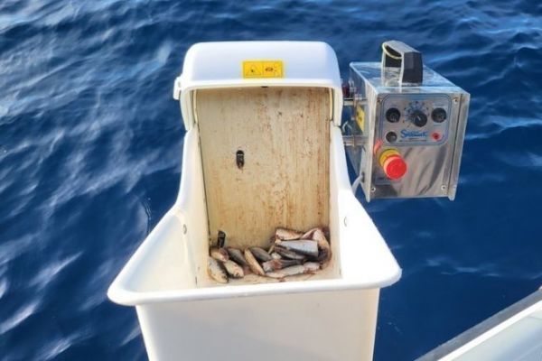 Broyeur à sardine pour la pêche