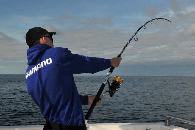 La stroulle et le broum sont de srieux atouts pour attirer les gros poissons.