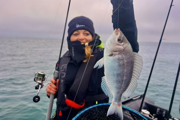 Pche de la dorade grise en fin de saison.