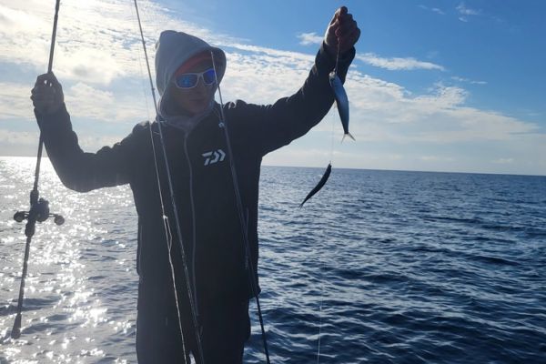 Pêcher des vifs rapidement