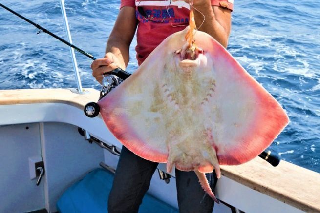 Piège à Poisson Pliable Et Portable - Filet épervier Pour Kayak, Plage, Lac Et Mer, Tailles 25x60/70/80 Cm