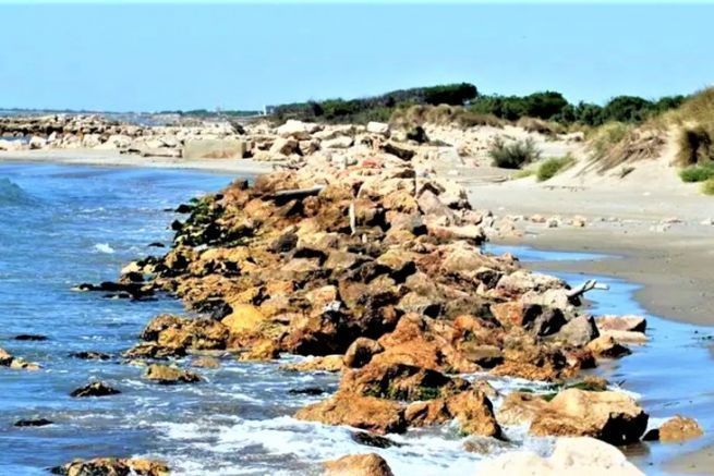 Le rivage camarguais 