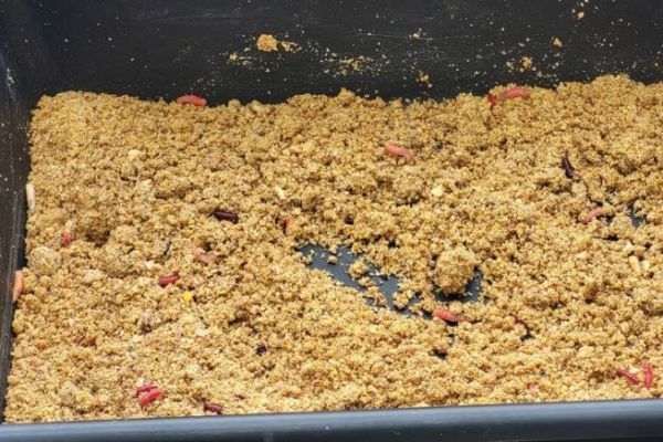 Pcher aux appts en eau douce