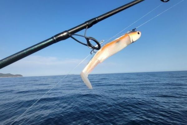 Black Minnow coloris girelle