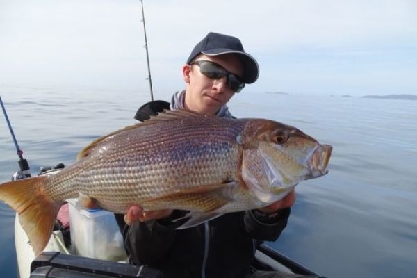 P�cher le denti au calamar
