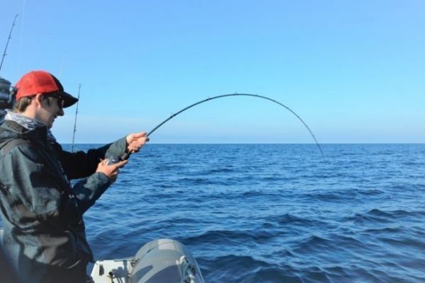 Déclaration des prises obligatoire en 2026