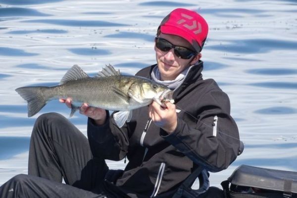 Pêche du loup en kayak