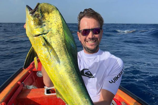 Une dorade coryphne avec ses belles couleurs
