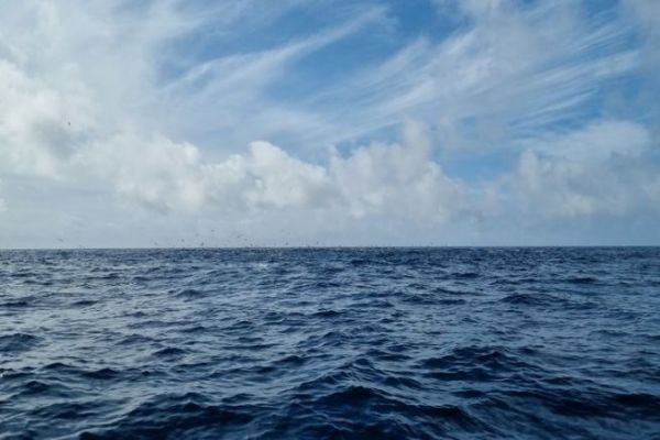 What is upwelling in the Mediterranean?