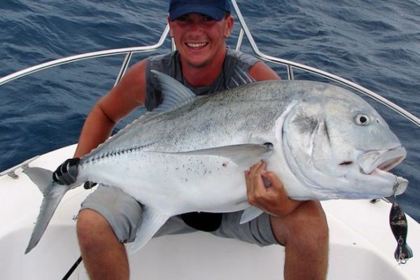 Une grosse carangue GT