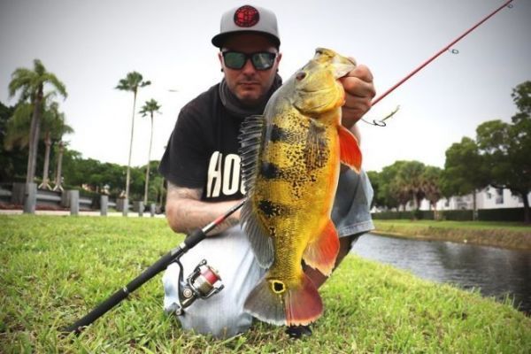 Le street fishing  Miami est hors normes !