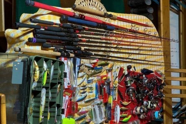 Voyager avec ses cannes