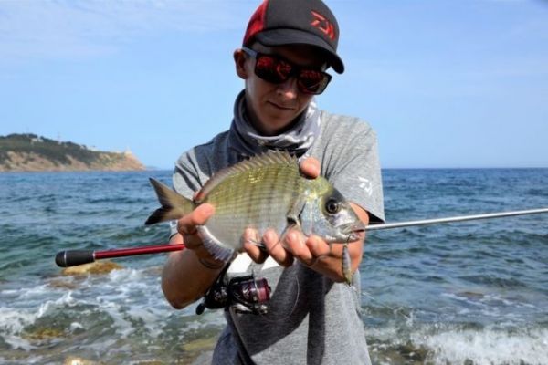 Se mettre au rockfishing