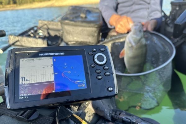 Le sondeur, un allier de choix pour les pêches verticales