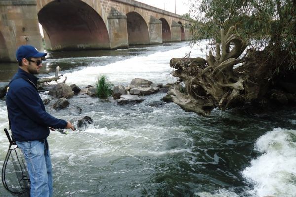 Pêcher la Loire à Nevers