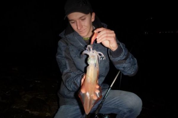 Quels spots pour les calamars ?