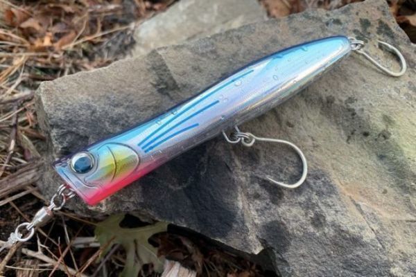 Jackson Kraber 160, easy to use in all conditions