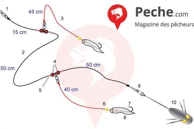Pêche en mer Pêche surf casting Moniteur guide de pêche
