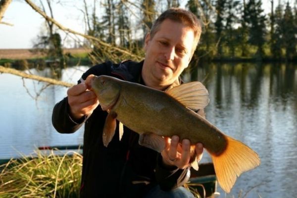Un joli spcimen de tanche qui na pas su rsister  la technique du feeder