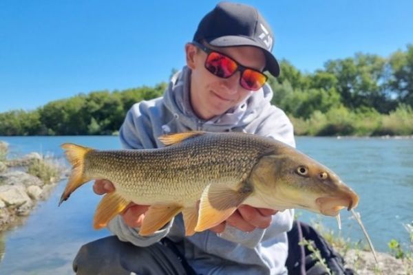 Pche du barbeau au feeder