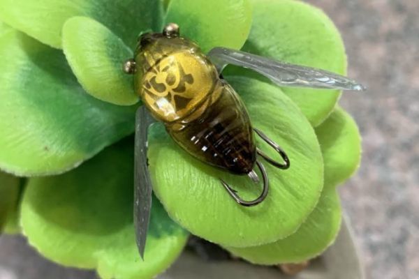 Le nano siglett mesure 2,4 cm.